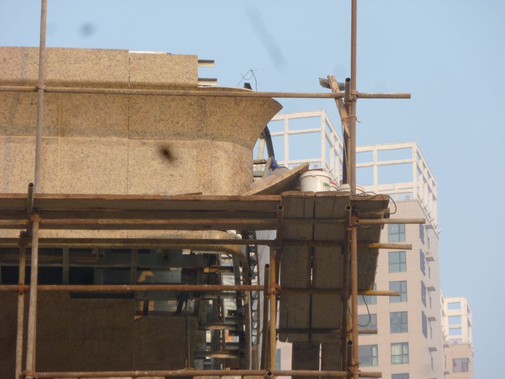 SG������ʤ��(�й���)�ٷ���վ